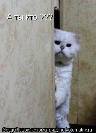 А ты кто ???... Котоматрица: А ты кто ???