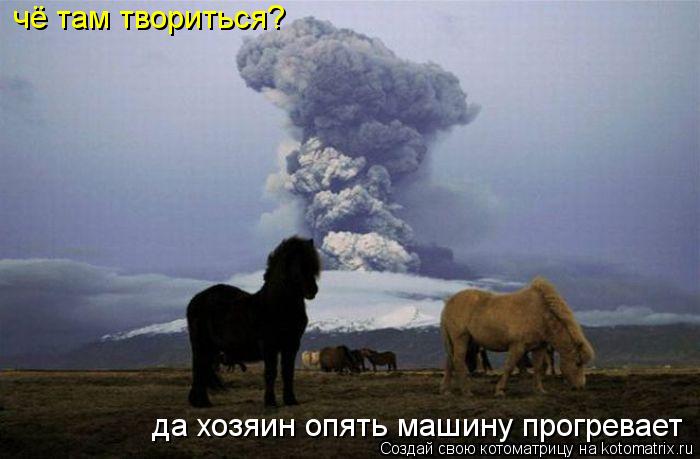 чё там твориться? да хозяин опять машину прогревает... Котоматрица: чё там твориться? да хозяин опять машину прогревает