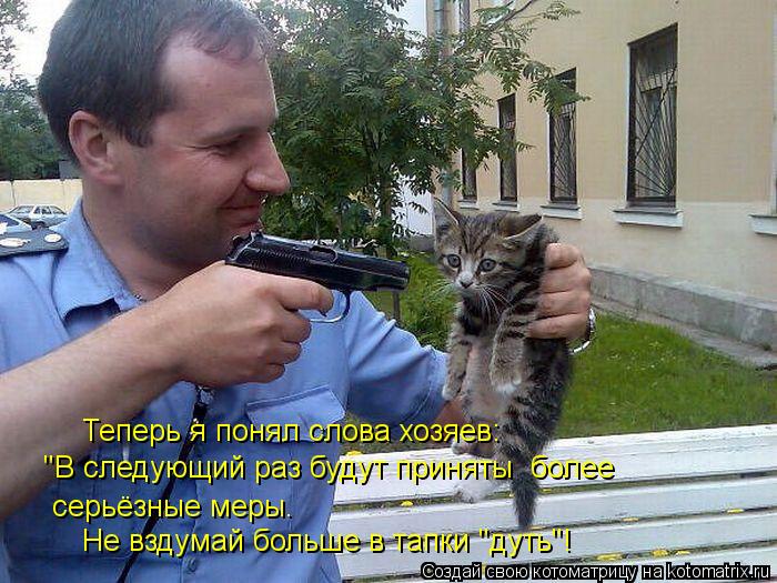 "В следующий раз будут приняты более серьёзные меры. Не вздумай больше в тапки "дуть"! Теперь я поня... Котоматрица: "В следующий раз будут приняты более серьёзные меры. Не вздумай больше в тапки "дуть"! Теперь я понял слова хозяев: