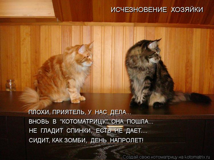 ИСЧЕЗНОВЕНИЕ ХОЗЯЙКИ ПЛОХИ, ПРИЯТЕЛЬ, У НАС ДЕЛА... ВНОВЬ В "КОТОМАТРИЦУ" ОНА ПОШЛА... НЕ ГЛ... Котоматрица: ИСЧЕЗНОВЕНИЕ ХОЗЯЙКИ ПЛОХИ, ПРИЯТЕЛЬ, У НАС ДЕЛА... ВНОВЬ В "КОТОМАТРИЦУ" ОНА ПОШЛА... НЕ ГЛАДИТ СПИНКИ, ЕСТЬ НЕ ДАЕТ.... СИДИТ, КАК ЗОМБ