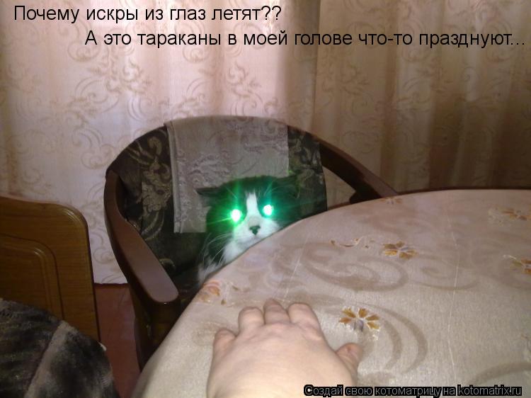 А это тараканы в моей голове что-то празднуют... Почему искры из глаз летят??... Котоматрица: А это тараканы в моей голове что-то празднуют... Почему искры из глаз летят??