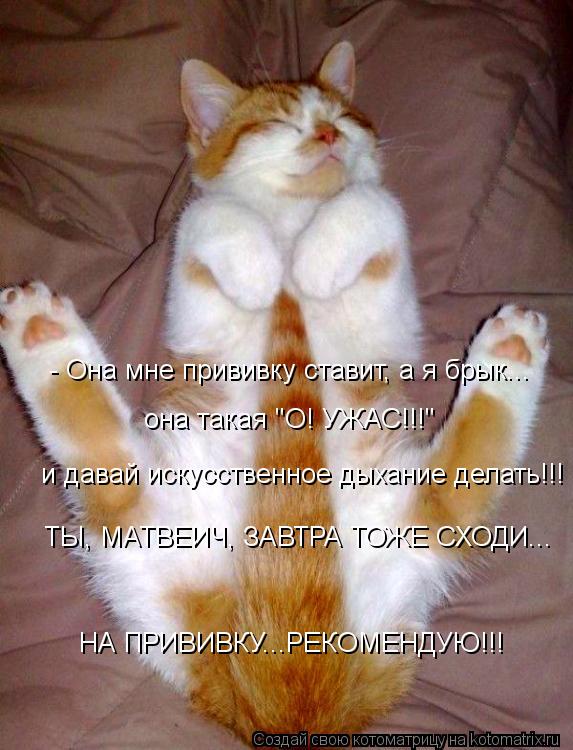 - Она мне прививку ставит, а я брык... она такая "О! УЖАС!!!" и давай искусственное дыхание делать!!... Котоматрица: - Она мне прививку ставит, а я брык... она такая "О! УЖАС!!!" и давай искусственное дыхание делать!!! ТЫ, МАТВЕИЧ, ЗАВТРА ТОЖЕ СХОДИ... НА ПРИВИВКУ..