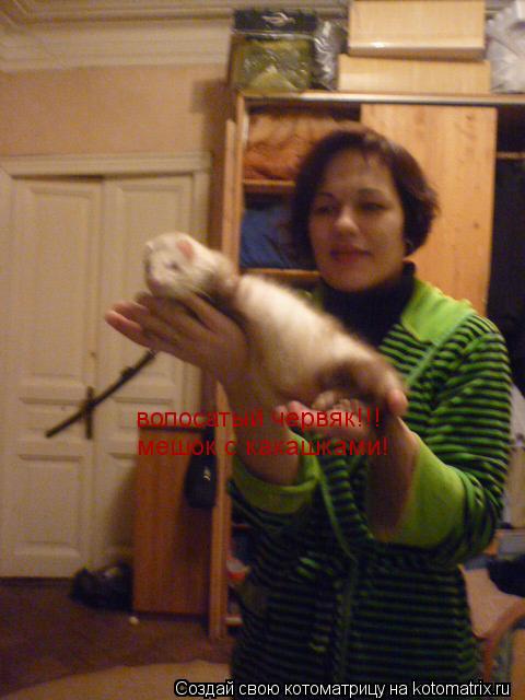 волосатый червяк!!! мешок с какашками!... Котоматрица: волосатый червяк!!! мешок с какашками!