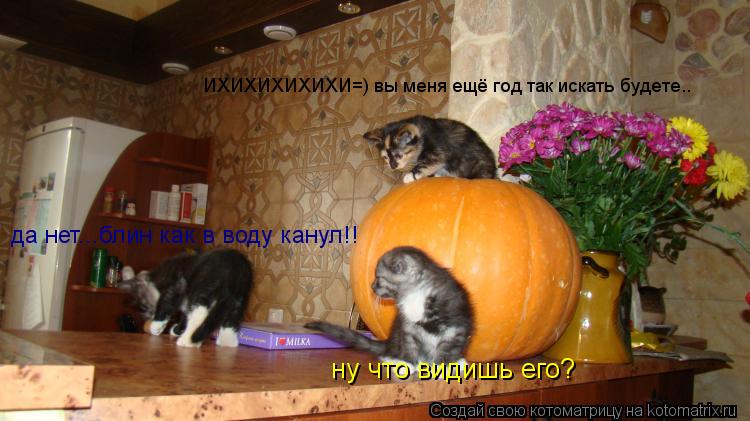 ну что видишь его? ИХИХИХИХИХИ=) вы меня ещё год так искать будете.. да нет...блин как в воду канул!!... Котоматрица: ну что видишь его? ИХИХИХИХИХИ=) вы меня ещё год так искать будете.. да нет...блин как в воду канул!!