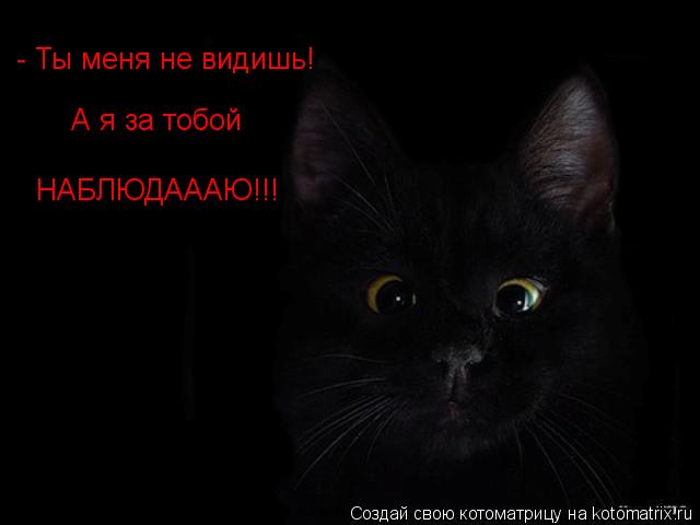 - Ты меня не видишь! А я за тобой НАБЛЮДАААЮ!!!... Котоматрица: - Ты меня не видишь! А я за тобой НАБЛЮДАААЮ!!!