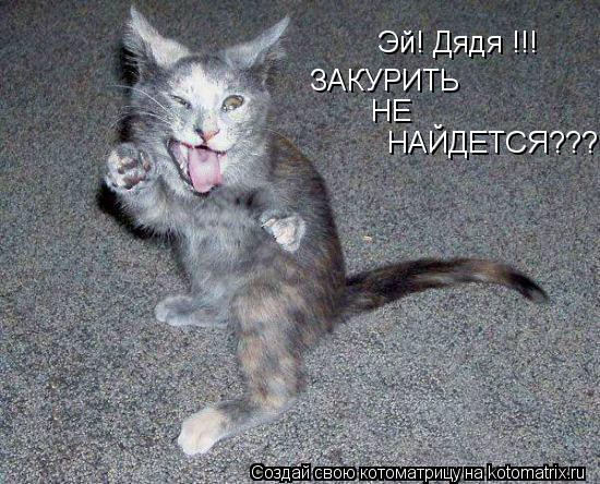 Эй! Дядя !!! ЗАКУРИТЬ НЕ НАЙДЕТСЯ???... Котоматрица: Эй! Дядя !!! ЗАКУРИТЬ НЕ НАЙДЕТСЯ???