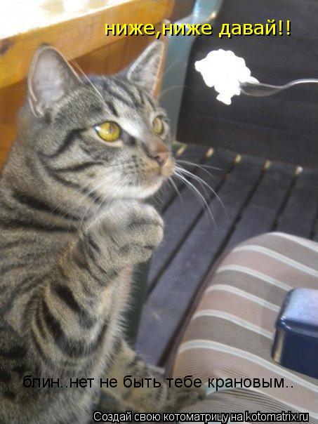 ниже,ниже давай!! блин..нет не быть тебе крановым..... Котоматрица: ниже,ниже давай!! блин..нет не быть тебе крановым..