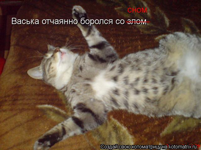 Васька отчаянно боролся со злом _____ сном... Котоматрица: Васька отчаянно боролся со злом _____ сном
