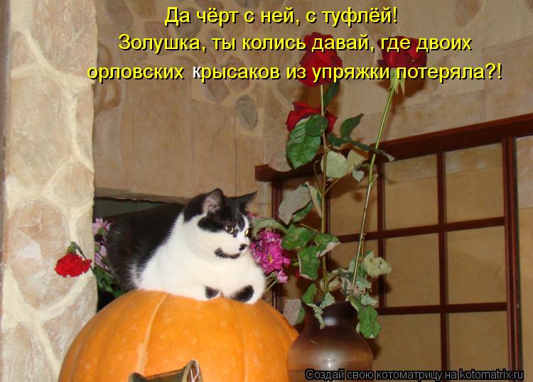 Да чёрт с ней, с туфлёй! Золушка, ты колись давай, где двоих орловских рысаков из упряжки потеряла?... Котоматрица: Да чёрт с ней, с туфлёй! Золушка, ты колись давай, где двоих орловских рысаков из упряжки потеряла?! к