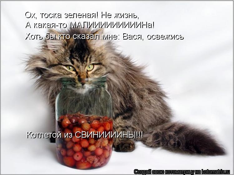 Ох, тоска зеленая! Не жизнь, А какая-то МАЛИИИИИИИИИНа! Хоть бы кто сказал мне: Вася, освежись Котлет... Котоматрица: Ох, тоска зеленая! Не жизнь, А какая-то МАЛИИИИИИИИИНа! Хоть бы кто сказал мне: Вася, освежись Котлетой из СВИНИИИИНЫ!!!