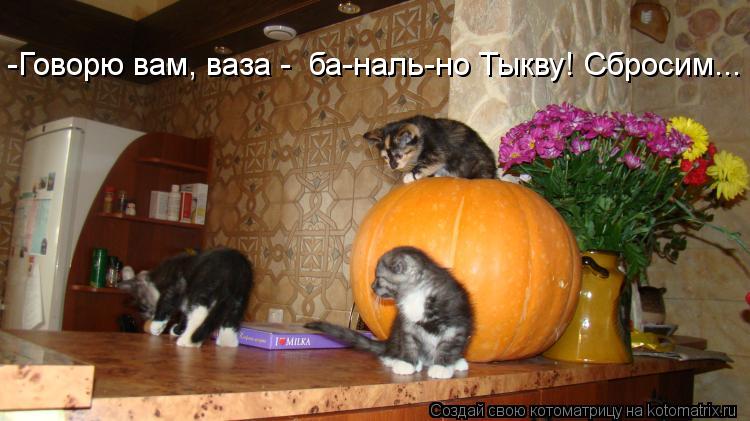 -Говорю вам, ваза - ба-наль-но Тыкву! Сбросим...... Котоматрица: -Говорю вам, ваза - ба-наль-но Тыкву! Сбросим...