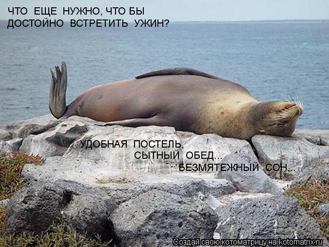 Котоматрица: ЧТО  ЕЩЕ  НУЖНО, ЧТО БЫ  ДОСТОЙНО  ВСТРЕТИТЬ  УЖИН? УДОБНАЯ  ПОСТЕЛЬ, СЫТНЫЙ  ОБЕД... БЕЗМЯТЕЖНЫЙ  СОН...