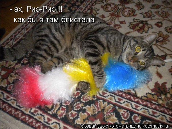 Котоматрица: - ах, Рио-Рио!!! как бы я там блистала...