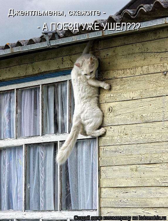 - А ПОЕЗД УЖЕ УШЕЛ??? Джентльмены, скажите -... Котоматрица: - А ПОЕЗД УЖЕ УШЕЛ??? Джентльмены, скажите -