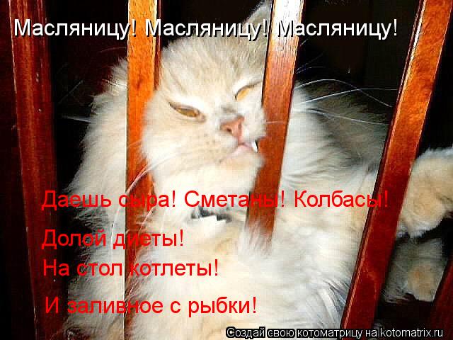Котоматрица: Масляницу! Масляницу! Масляницу! Даешь сыра! Сметаны! Колбасы! Долой диеты! На стол котлеты! И заливное с рыбки!