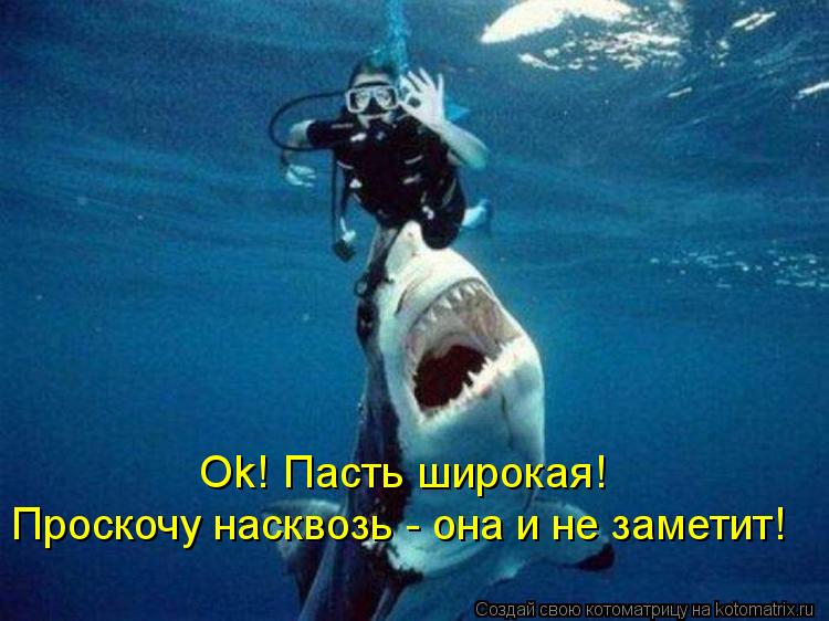 Котоматрица: Оk! Пасть широкая!  Проскочу насквозь - она и не заметит!