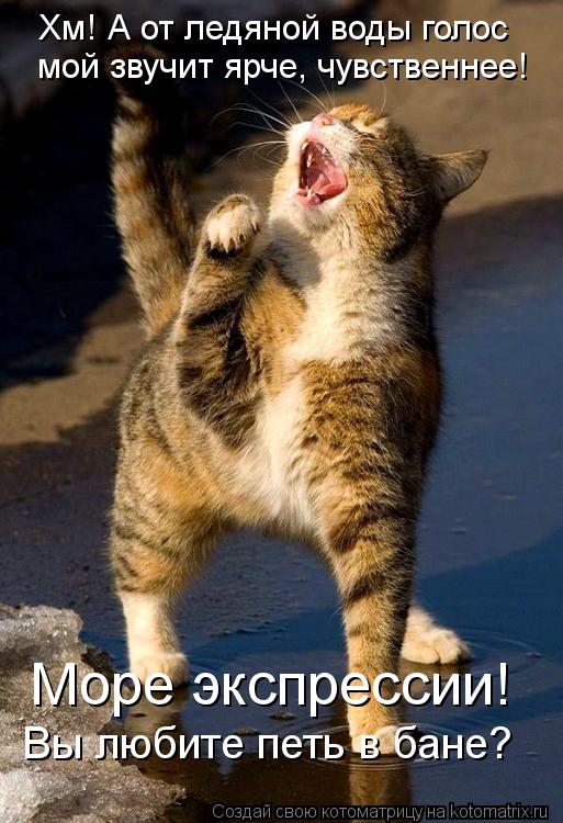 Котоматрица: Хм! А от ледяной воды голос  мой звучит ярче, чувственнее! Море экспрессии! Вы любите петь в бане?