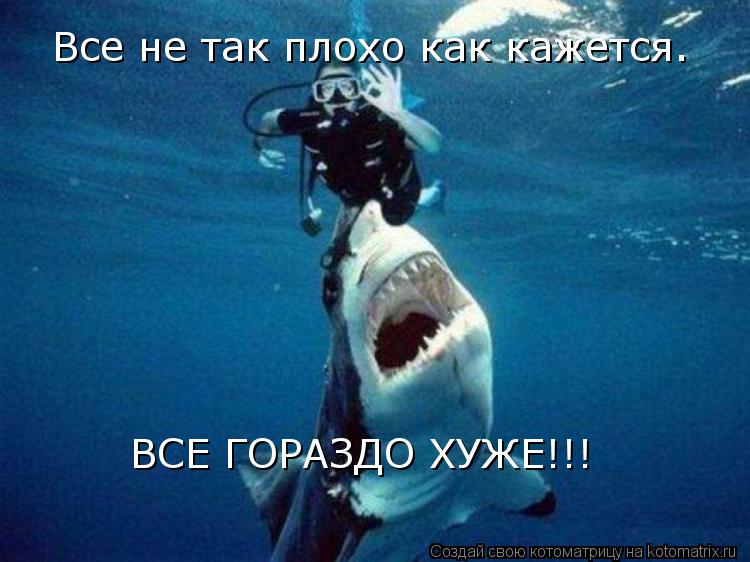 Котоматрица: Все не так плохо как кажется. ВСЕ ГОРАЗДО ХУЖЕ!!!
