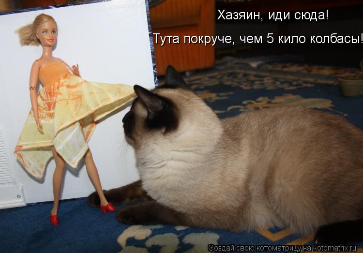 Котоматрица: Хазяин, иди сюда! Тута покруче, чем 5 кило колбасы!