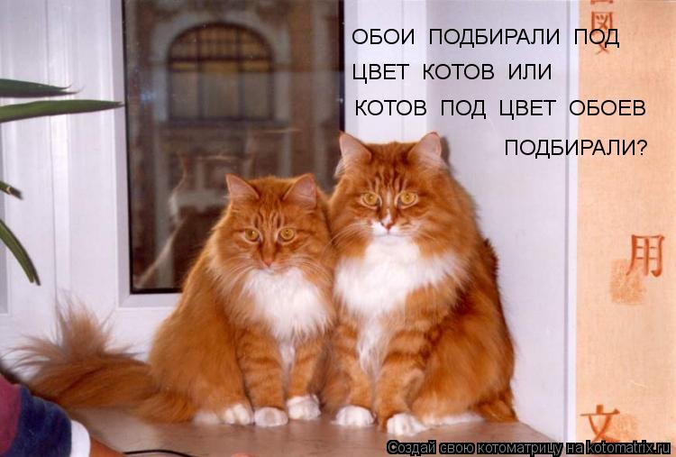Котоматрица: ОБОИ  ПОДБИРАЛИ  ПОД  ЦВЕТ  КОТОВ  ИЛИ   КОТОВ  ПОД  ЦВЕТ  ОБОЕВ ПОДБИРАЛИ?