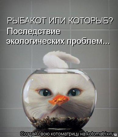 Котоматрица: РЫБАКОТ ИЛИ КОТОРЫБ?  Последствие  экологических проблем...