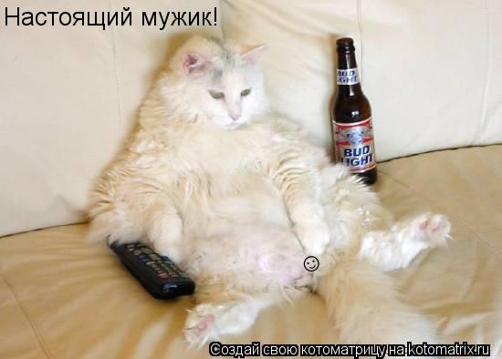 Котоматрица: Настоящий мужик! &#9786;
