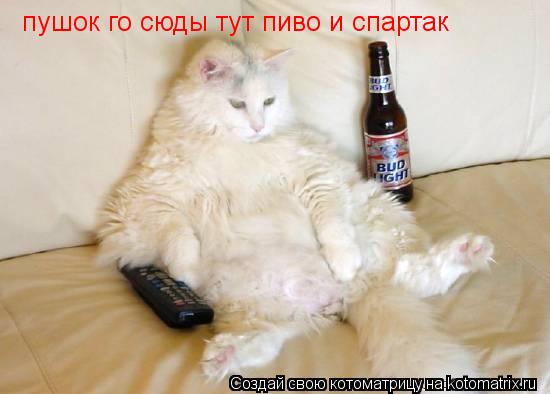 пушок го сюды тут пиво и спартак... Котоматрица: пушок го сюды тут пиво и спартак