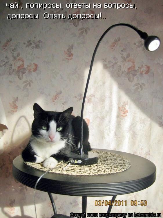 чай , попиросы, ответы на вопросы, допросы. Опять допросы!..... Котоматрица: чай , попиросы, ответы на вопросы, допросы. Опять допросы!..