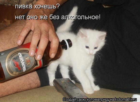 пивка хочешь? нет оно же без алкогольное!... Котоматрица: пивка хочешь? нет оно же без алкогольное!