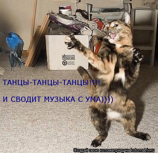 Котоматрица: ТАНЦЫ-ТАНЦЫ-ТАНЦЫ!!!!  И СВОДИТ МУЗЫКА С УМА))))