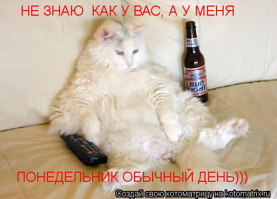 Котоматрица: НЕ ЗНАЮ  КАК У ВАС, А У МЕНЯ ПОНЕДЕЛЬНИК ОБЫЧНЫЙ ДЕНЬ)))