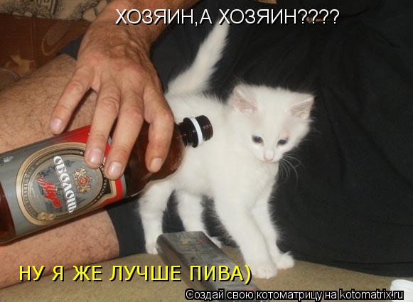 Котоматрица: ХОЗЯИН,А ХОЗЯИН????    НУ Я ЖЕ ЛУЧШЕ ПИВА)