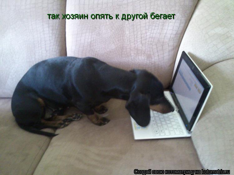 Котоматрица: так хозяин опять к другой бегает