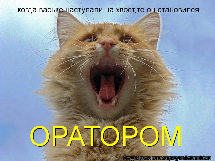 когда ваське наступали на хвост,то он становился... ОРАТОРОМ... Котоматрица: когда ваське наступали на хвост,то он становился... ОРАТОРОМ