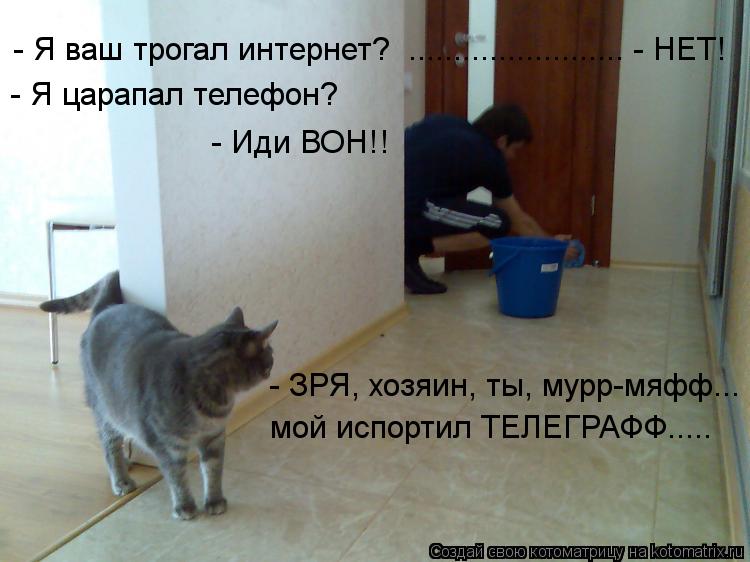 - Я ваш трогал интернет? ........................ - НЕТ! - Я царапал телефон? - Иди ВОН!! - ЗРЯ, хоз... Котоматрица: - Я ваш трогал интернет? ........................ - НЕТ! - Я царапал телефон? - Иди ВОН!! - ЗРЯ, хозяин, ты, мурр-мяфф... мой испортил ТЕЛЕГРАФФ.....