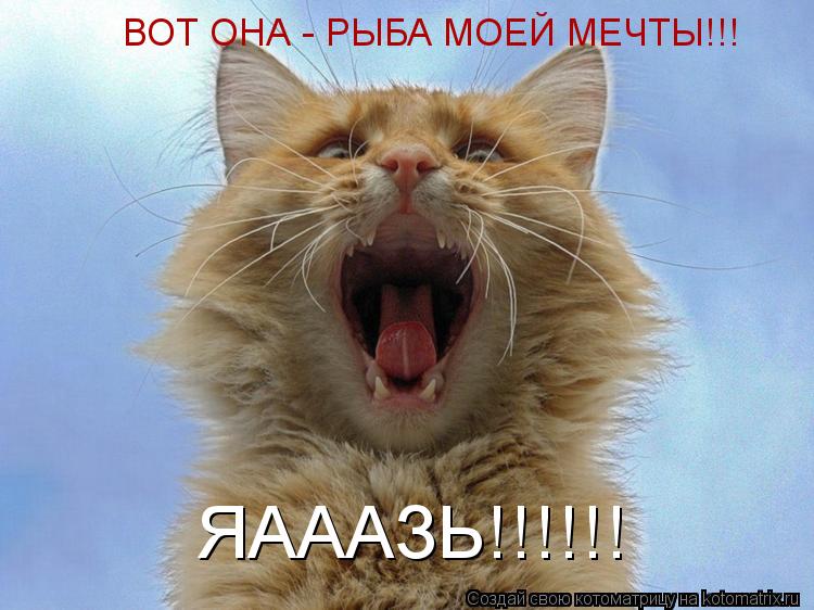 ВОТ ОНА - РЫБА МОЕЙ МЕЧТЫ!!! ЯАААЗЬ!!!!!!... Котоматрица: ВОТ ОНА - РЫБА МОЕЙ МЕЧТЫ!!! ЯАААЗЬ!!!!!!
