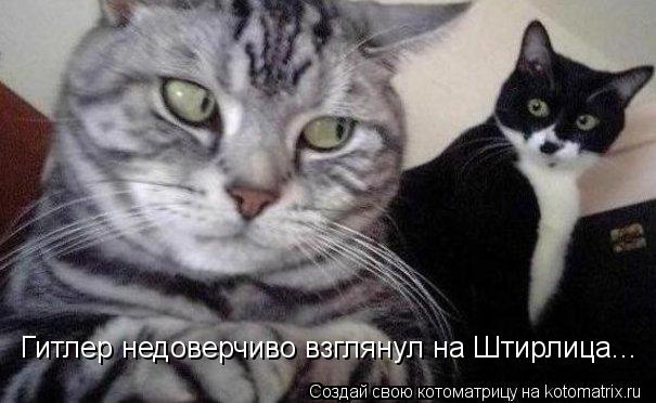 Гитлер недоверчиво взглянул на Штирлица...... Котоматрица: Гитлер недоверчиво взглянул на Штирлица...