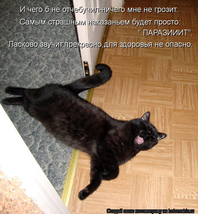 И чего б не отчебучил-ничего мне не грозит. Самым страшным наказаньем будет просто: " ПАРАЗИИИТ". Лас... Котоматрица: И чего б не отчебучил-ничего мне не грозит. Самым страшным наказаньем будет просто: " ПАРАЗИИИТ". Ласково звучит,прекрасно,для здоровья не оп