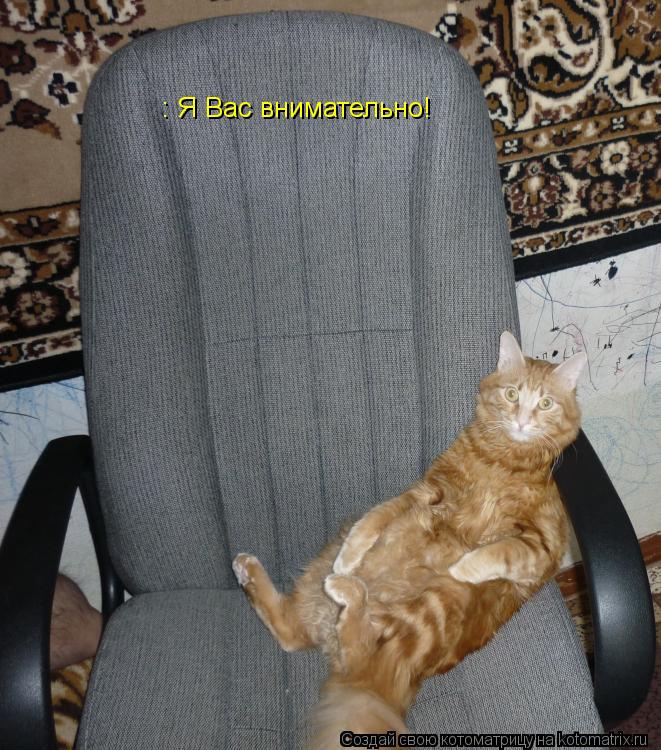 : Я Вас внимательно!... Котоматрица: : Я Вас внимательно!