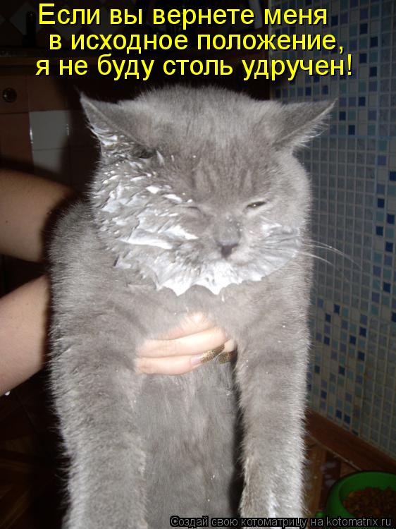 Котоматрица: я не буду столь удручен!  в исходное положение, Если вы вернете меня