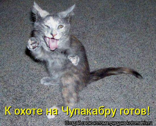Котоматрица: К охоте на Чупакабру готов!