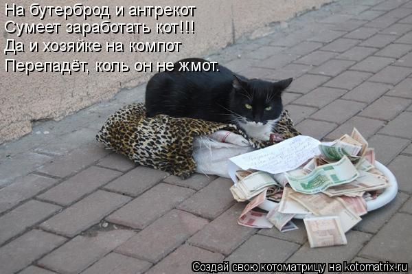 Котоматрица: На бутерброд и антрекот  Сумеет заработать кот!!! Да и хозяйке на компот Перепадёт, коль он не жмот.