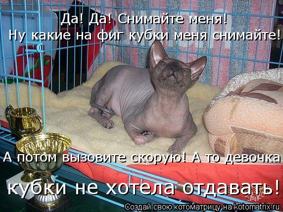 Котоматрица: Да! Да! Снимайте меня!  Ну какие на фиг кубки меня снимайте! А потом вызовите скорую! А то девочка  кубки не хотела отдавать!