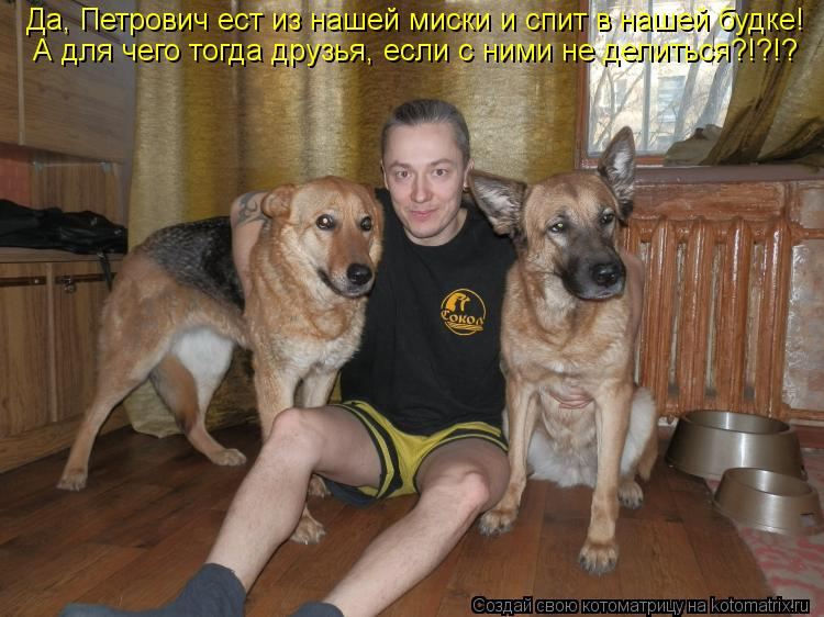Котоматрица: Да, Петрович ест из нашей миски и спит в нашей будке! А для чего тогда друзья, если с ними не делиться?!?!?