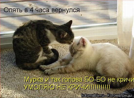 Котоматрица: Опять в 4 часа вернулся Мурка и так голова БО-БО не кричи УМОЛЯЮ НЕ КРИЧИ!!!!!!!!!!!