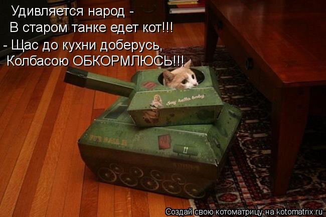 Котоматрица: Удивляется народ - В старом танке едет кот!!! - Щас до кухни доберусь, Колбасою ОБКОРМЛЮСЬ!!!