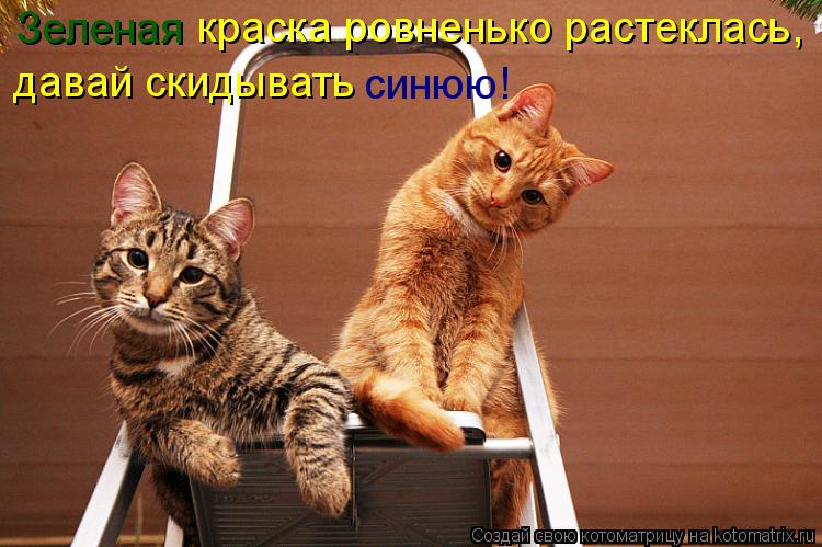 краска ровненько растеклась, Зеленая давай скидывать синюю!... Котоматрица: краска ровненько растеклась, Зеленая давай скидывать синюю!