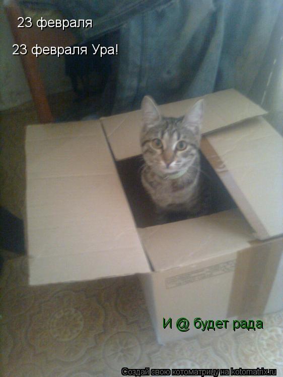 Котоматрица: 23 февраля 23 февраля Ура!  И @ будет рада