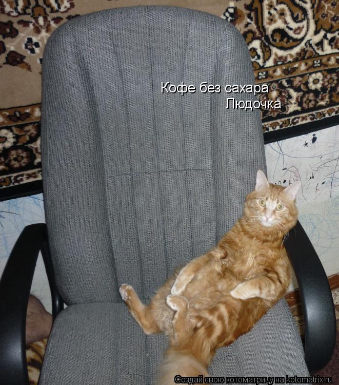 Котоматрица: Кофе без сахара Людочка