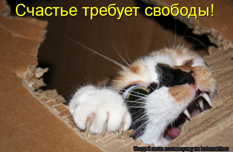 Котоматрица: Счастье требует свободы!